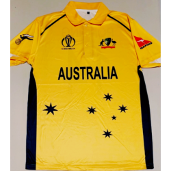 RICKY PONTING 14 AUSTRALIA ONE DAY CRICKET JERSEY