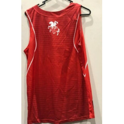 ST GEORGE ILLAWARA DRAGONS NRL MENS SINGLET