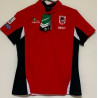 ST GEORGE ILLAWARRA DRAGONS NRL LADIES POLO SHIRTS