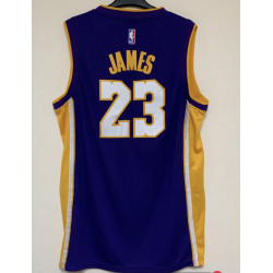 LEBRON JAMES 23 PURPLE...