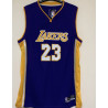 LEBRON JAMES 23 PURPLE ADULT JERSEY