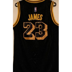 LEBRON JAMES 23 LA LAKERS...