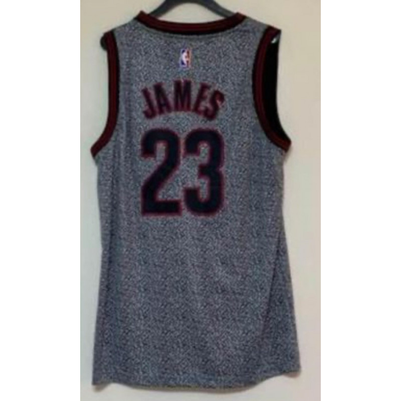 LEBRON JAMES GREY CAVS JERSEY