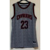 LEBRON JAMES GREY CAVS JERSEY