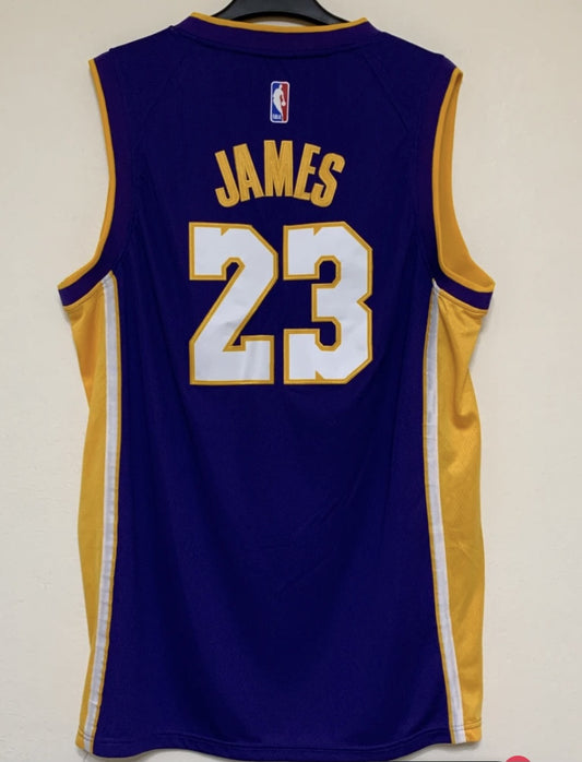LEBRON JAMES 23 PURPLE ADULT JERSEY